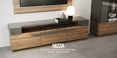  ГОСТИНАЯ NIZZA 